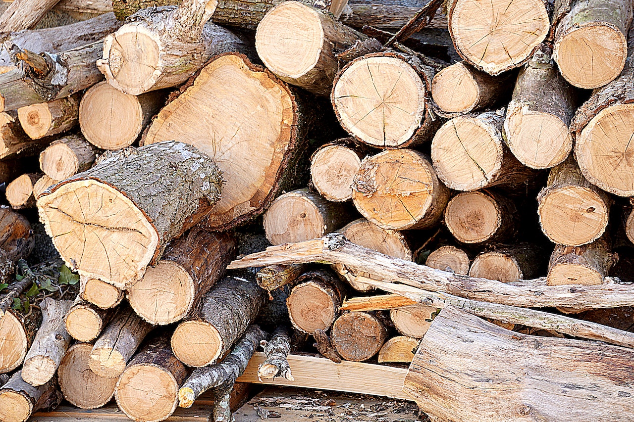 What Should You Look for in Cut to Size Timber?